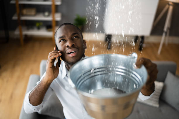 Best Water damage restoration company  in Pratt, KS