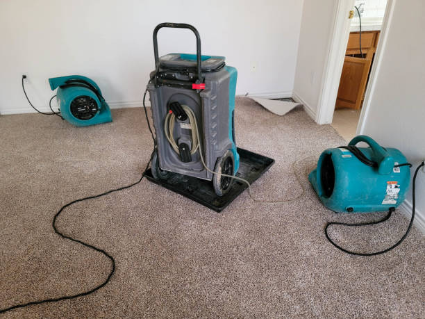  Pratt, KS Water damage restoration Pros