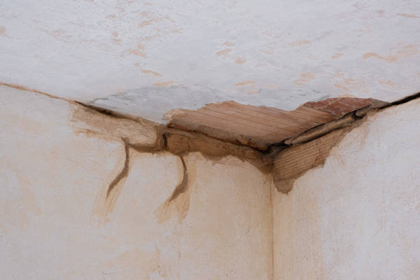 Best Ceiling water damage repair  in Pratt, KS