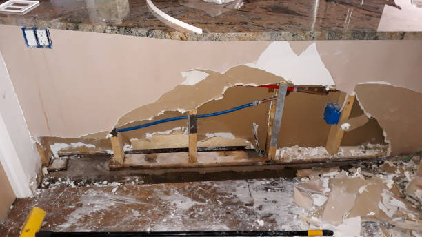 Best Flood damage cleanup  in Pratt, KS