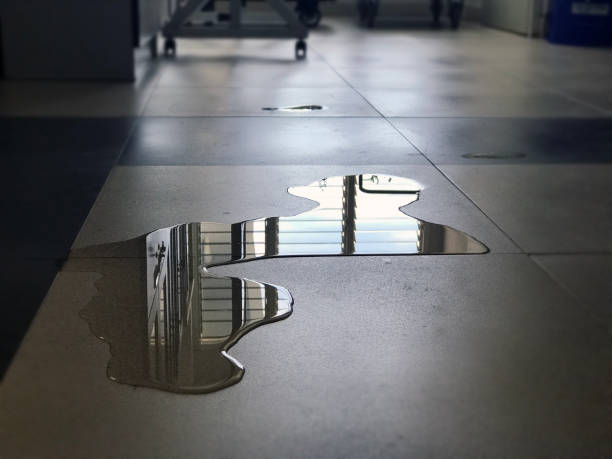 Best Water damage restoration near me  in Pratt, KS