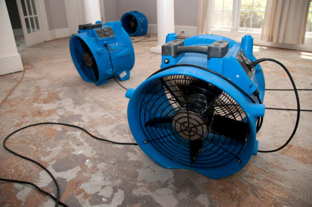Best Professional water damage repair  in Pratt, KS