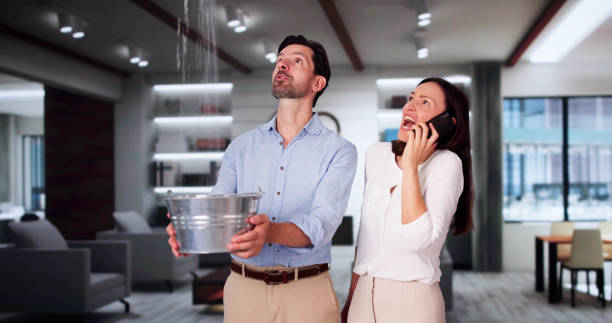 Best Flooded house restoration  in Pratt, KS